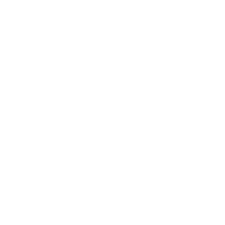 Urgences Vétérinaires Lyon